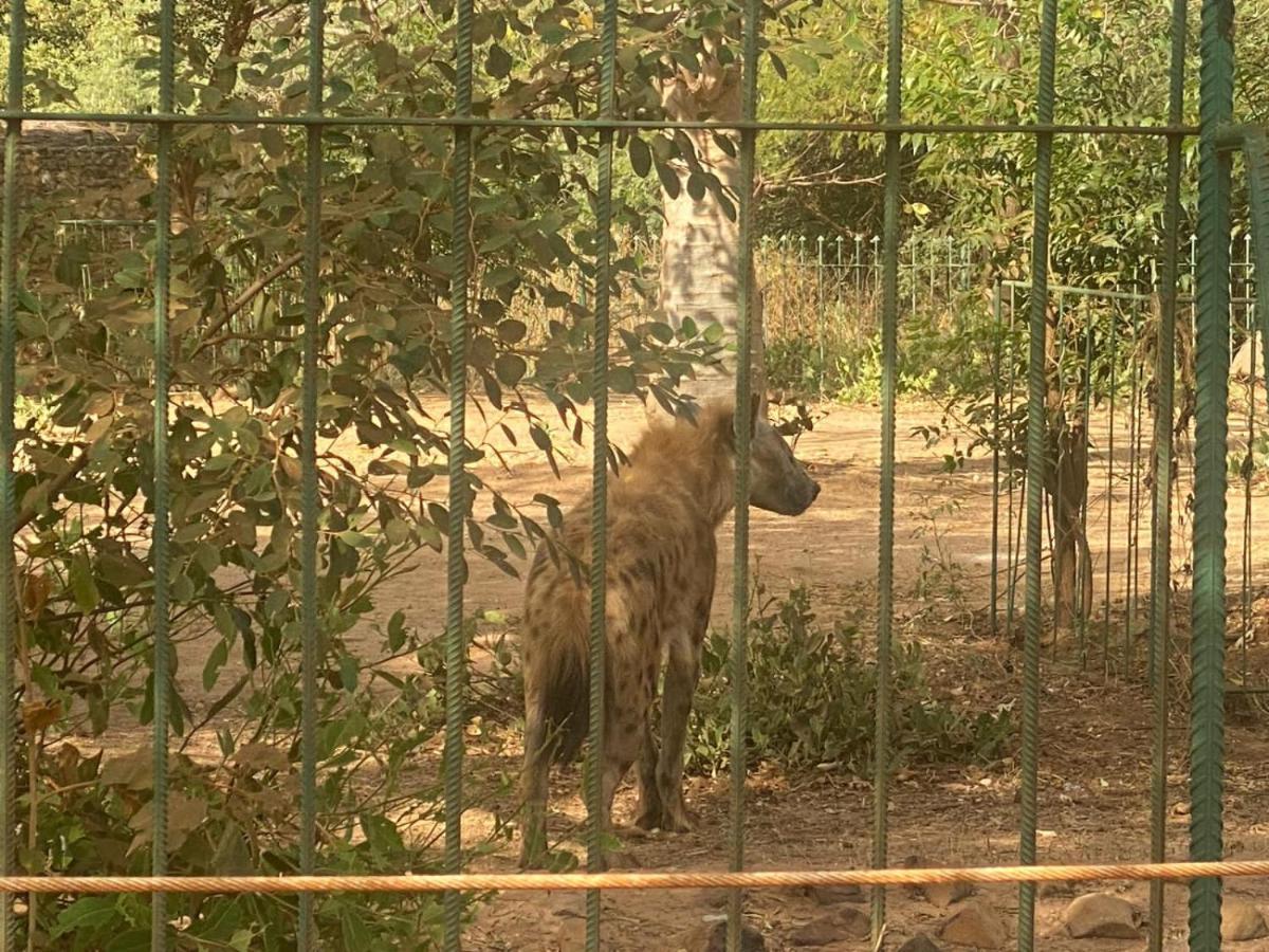 Auberge Africa Thiossane Saly Portudal Eksteriør bilde